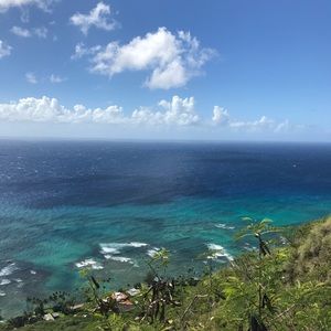 Meet your Posher, Marci